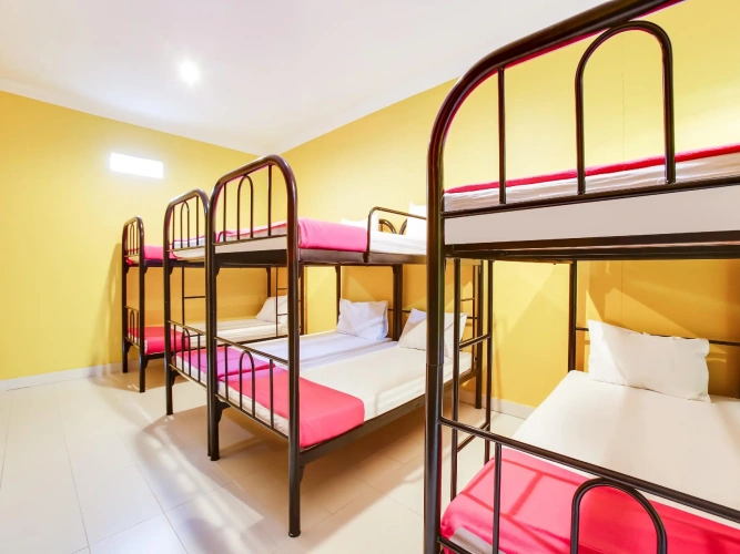 Bed in Dorm
