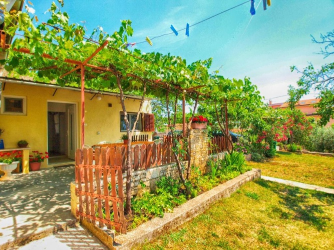 Cottage