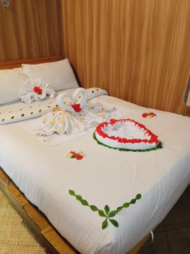 Premium Double room with balcony and with mountain view