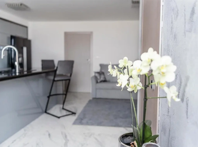 Deluxe Apartment