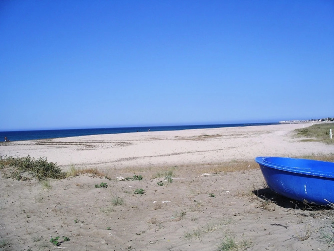 156 Bonamar