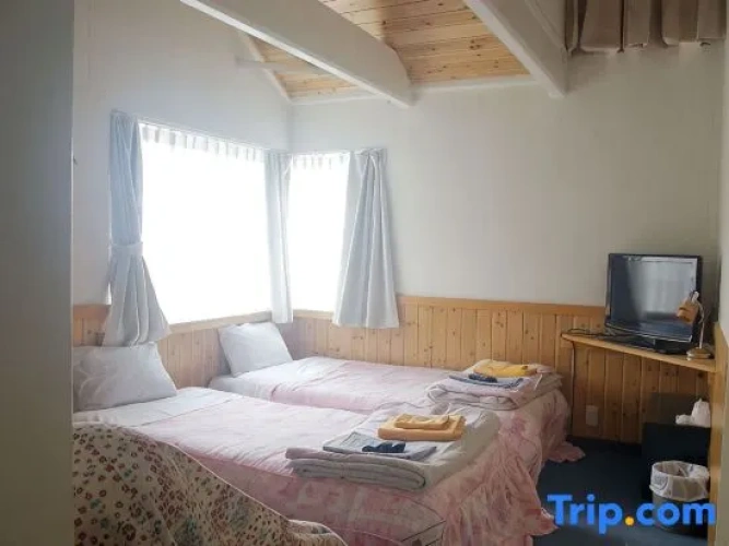 Standard Twin room with ocean view