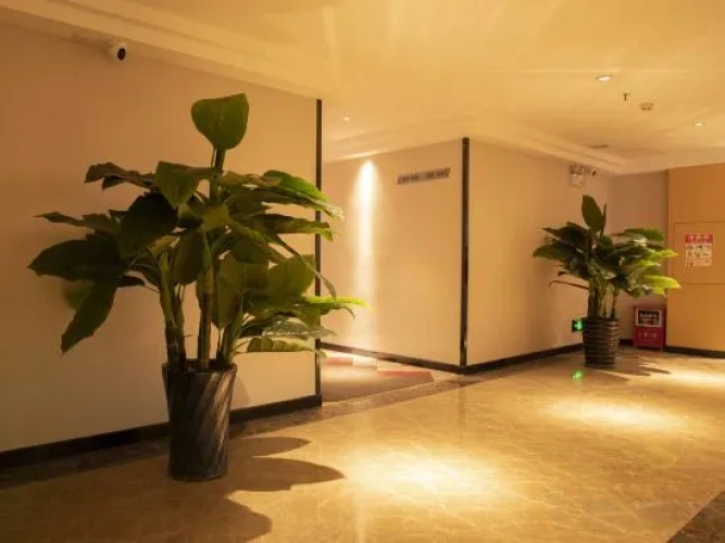 Hotel rooms