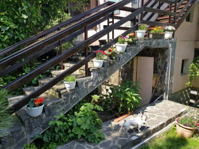 Apartament Ferdinand