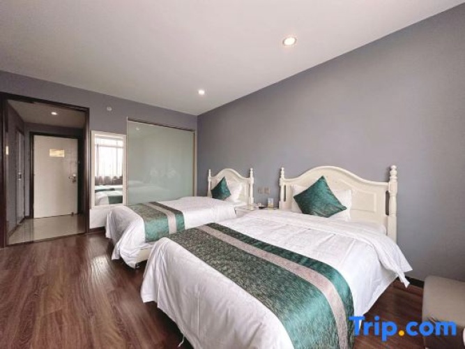 Standard Attic room