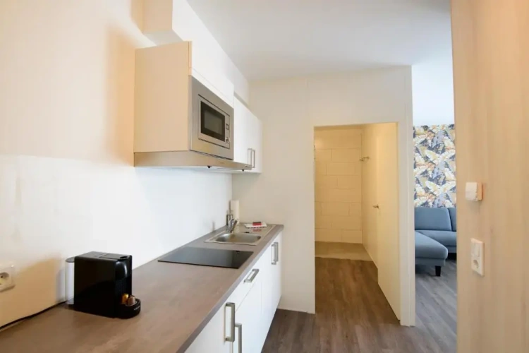 1 Bedroom Apartment