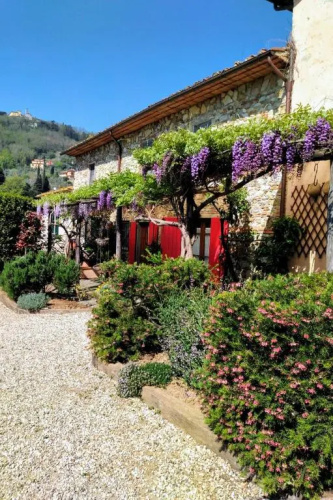 La Corte del Falco