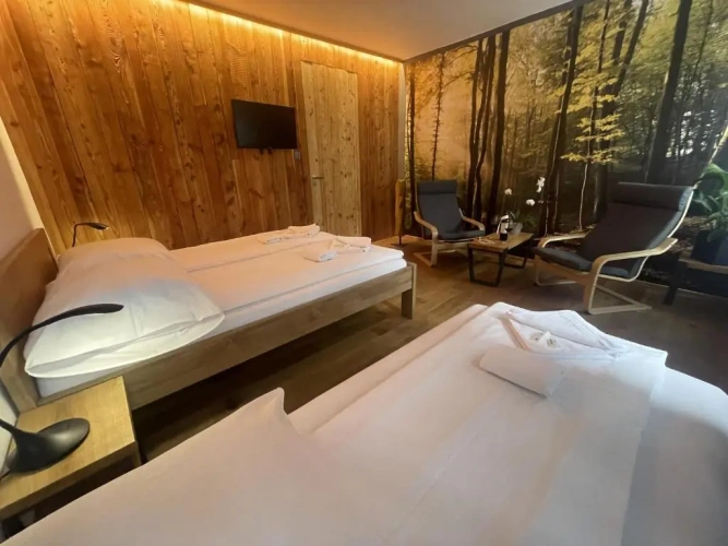 Deluxe Double room