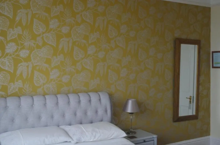 Standard Single room with view