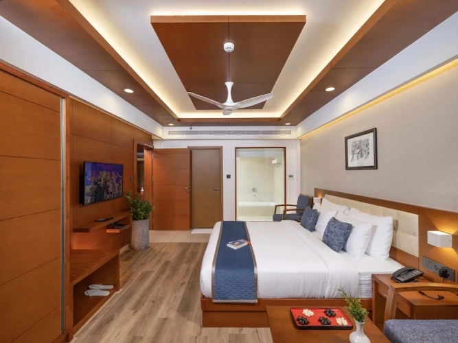 Luxury Suite