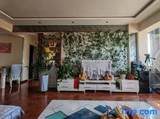 Dingxi Fengyi Homestay