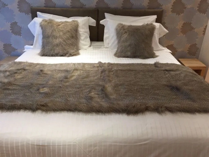 8 Owls B&B