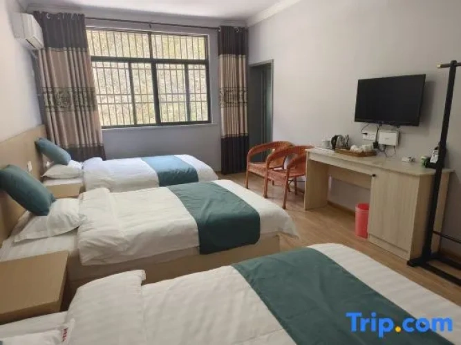 Standard Triple room