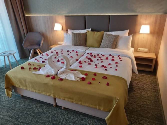Standard Double room with balcony and with courtyard view