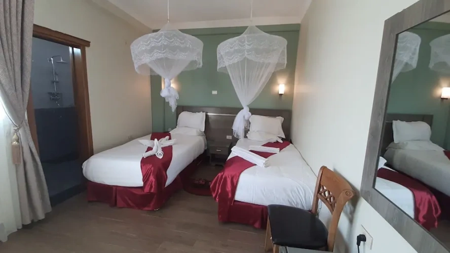 Superior Twin room with balcony and with city view