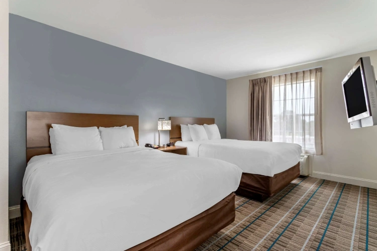 Quadruple Suite
