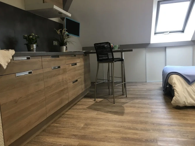 Premier Attic Studio