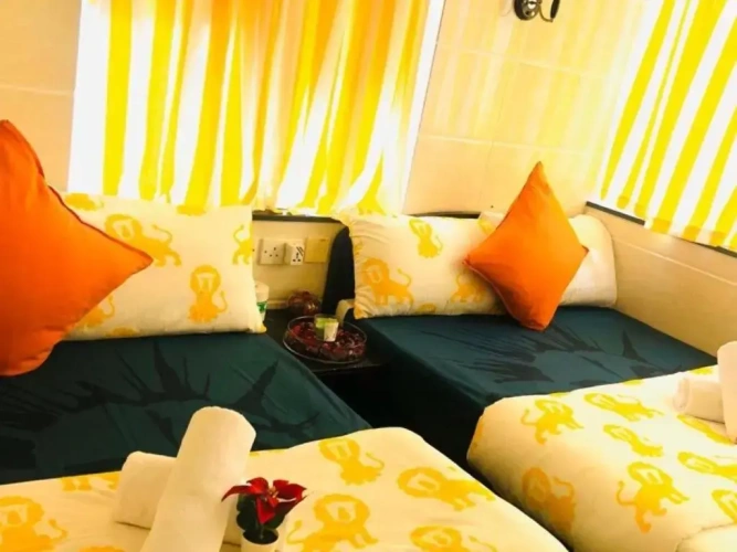 Standard Double Suite with view
