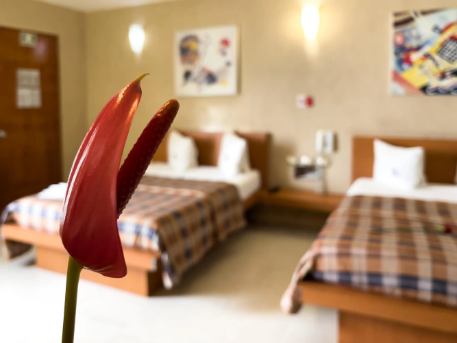Auto-Hotel Mediterraneo