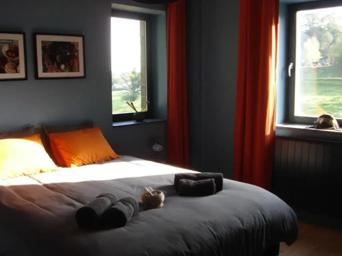 Standard Double room with garden view