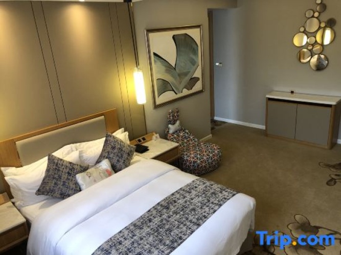 Standard Double Family room