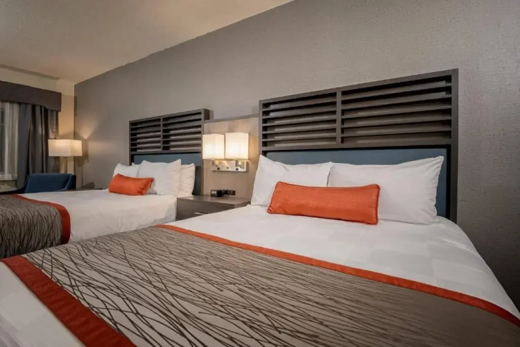Double Suite