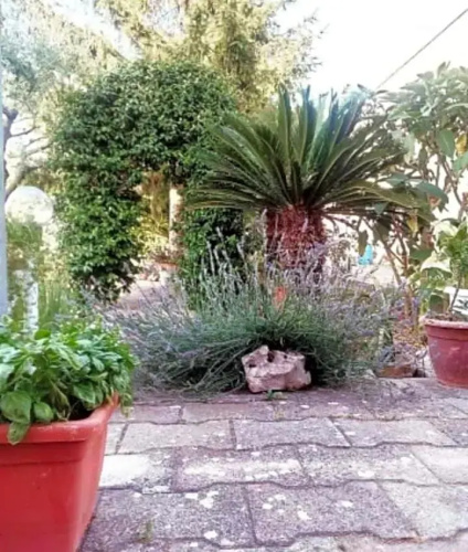 BB La casa di Tella
