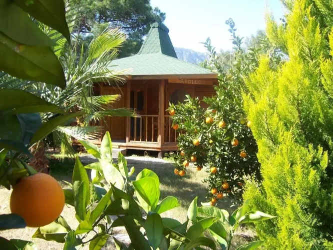 Bungalow with balcony and with mountain view