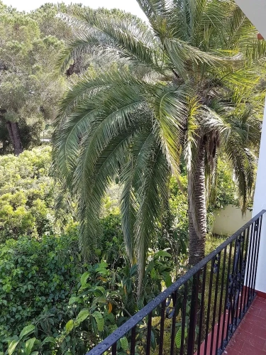 Standard Twin room with balcony