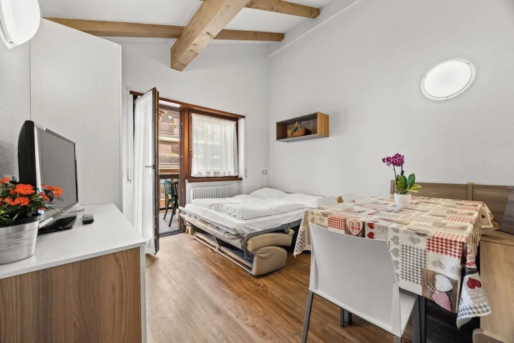 1 Bedroom Apartment