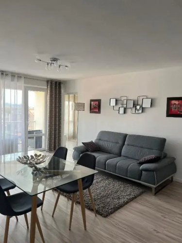 Roanne-centre appartement