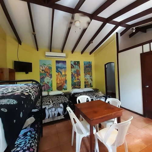 Economy Studio