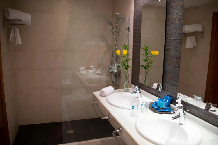 Premium Double room with balcony
