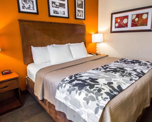Standard room