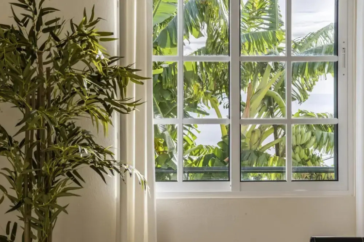 Sunny House by Madeira Sun Travel