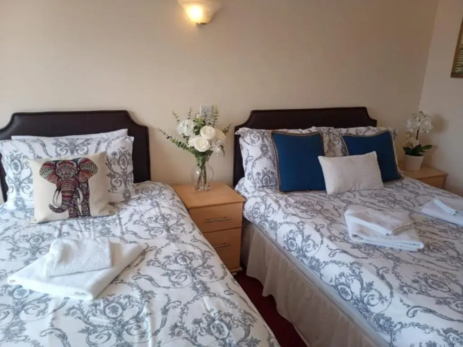Superior Double room with view