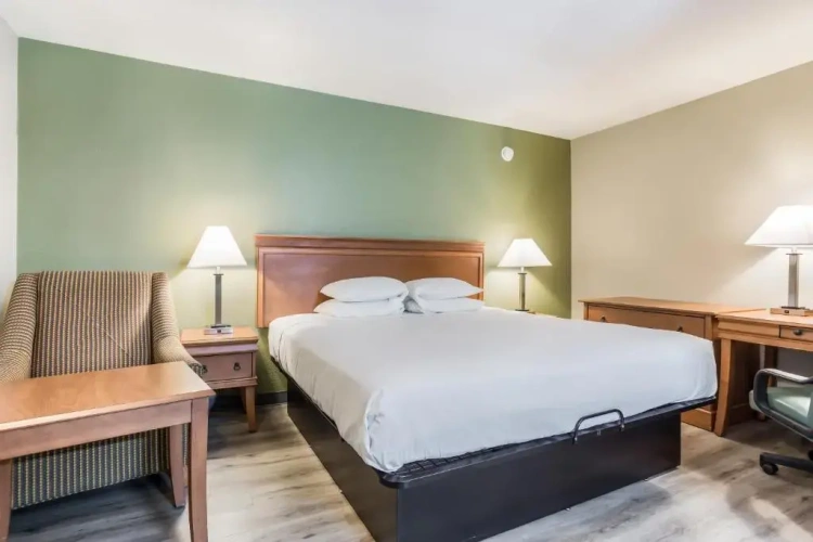 Standard room