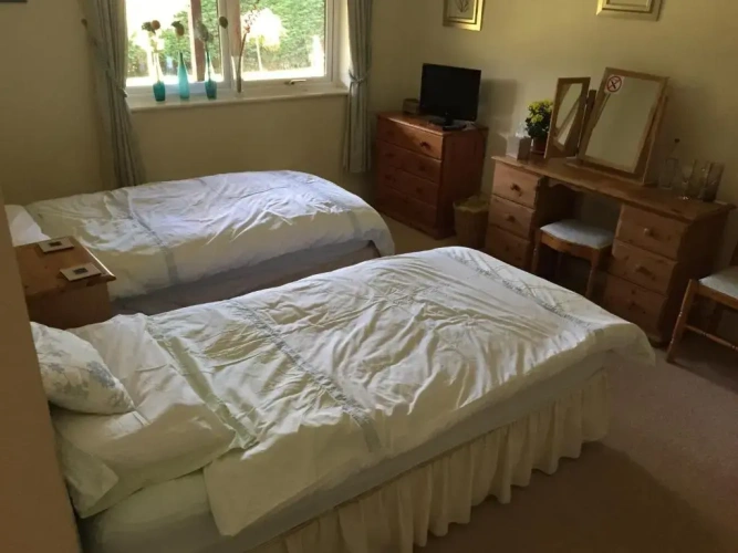 Standard Twin room