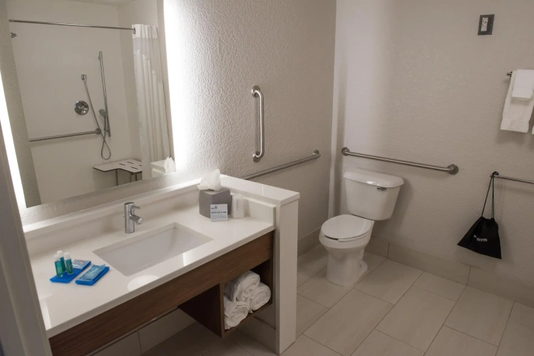 1 Bedroom Suite