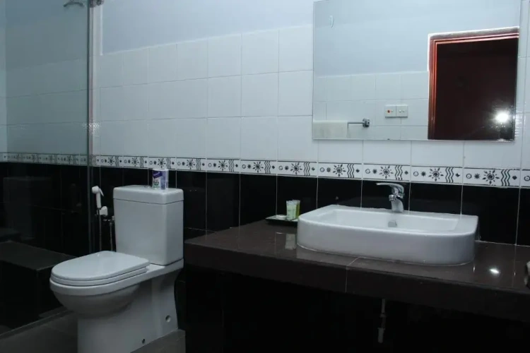 Deluxe Double room with river view