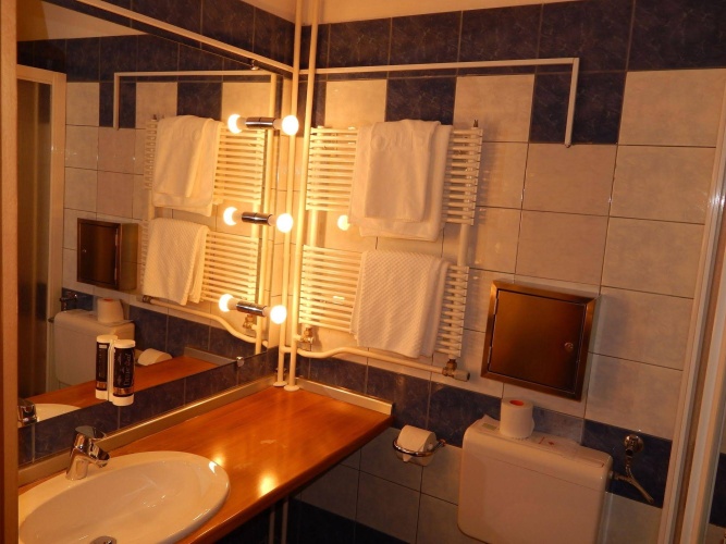 Hotel Alpina photo 10