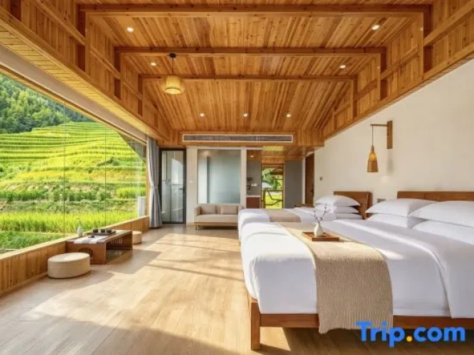 Standard Twin Family room