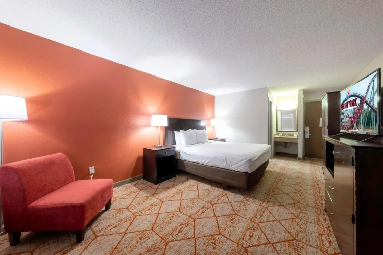 Standard Double room