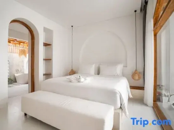 1 Bedroom Villa