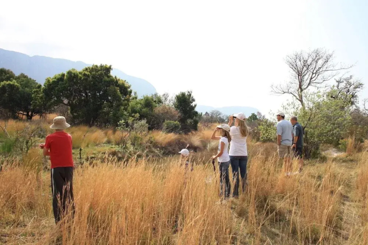 Griffons Bush Camp