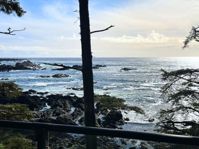 1 Bedroom Suite with ocean view