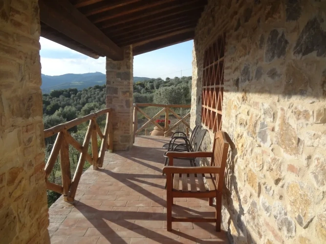 1 Bedroom Apartment with balcony