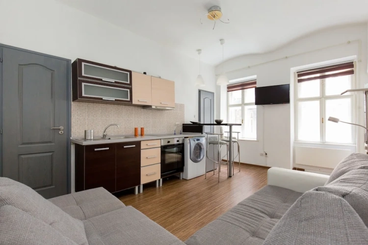 1 Bedroom Apartment