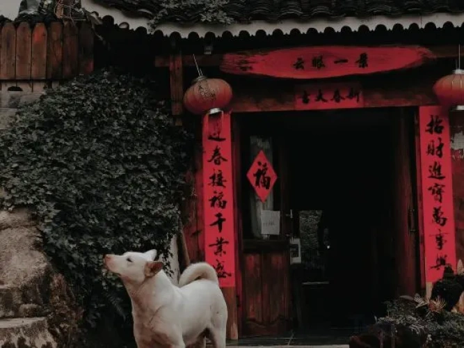 Outside