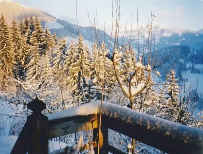 Chalet in Rougemont Near Ski Slopes